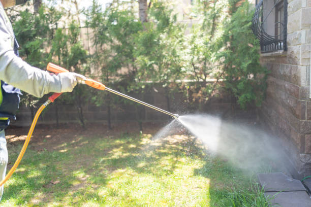 Best Pest Prevention Services  in Amite City, LA